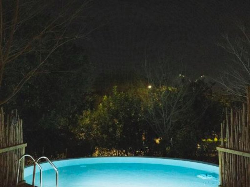 Slowness - Kibbutz Moranの写真