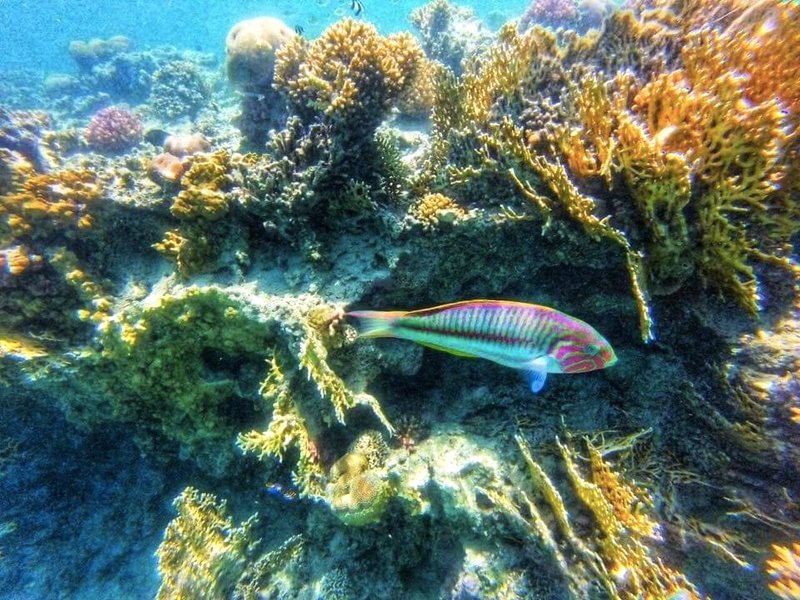 hassany hotelの写真