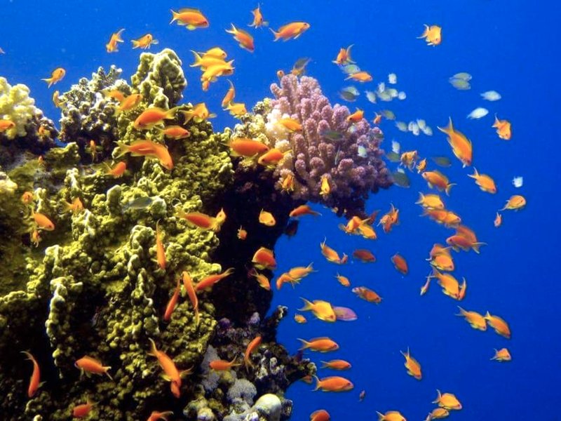 hassany hotelの写真