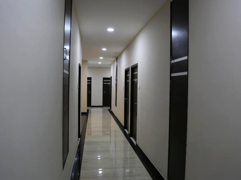 パイン ツリー (Pine Tree)の写真