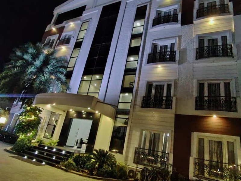 パイン ツリー (Pine Tree)の写真