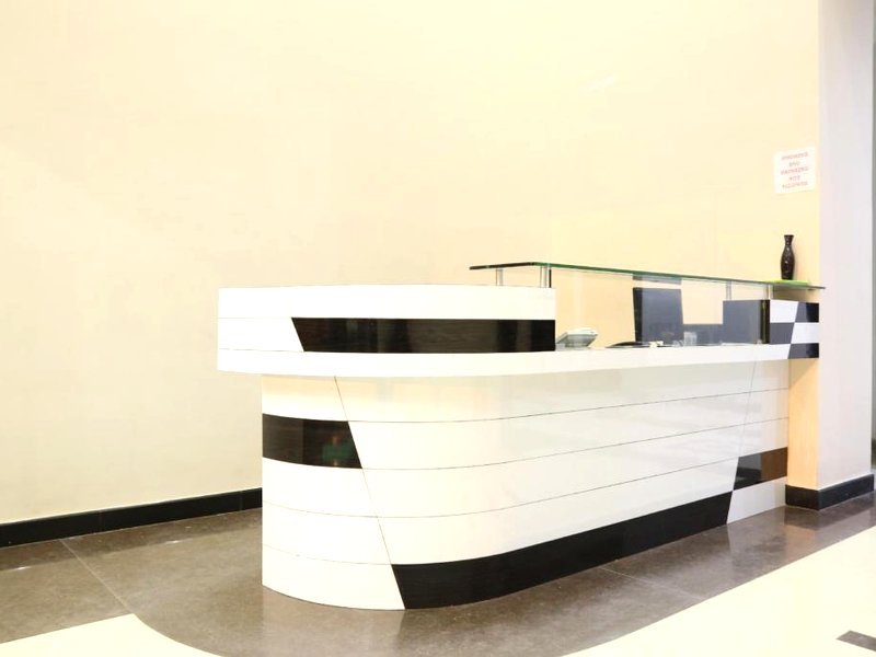 パイン ツリー (Pine Tree)の写真