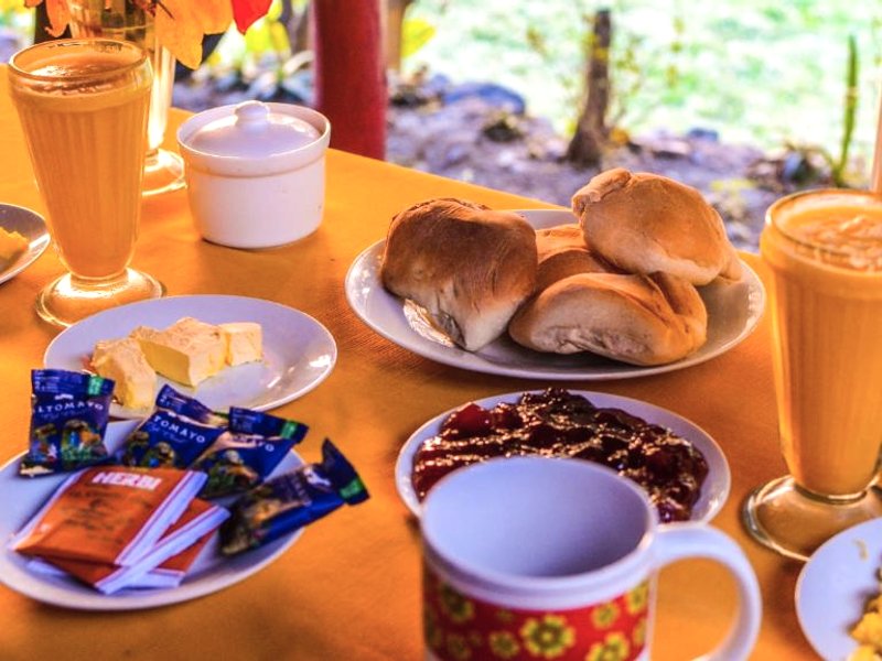 Tropical Lodgeの写真