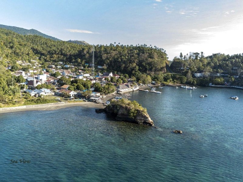 ココティノス ランべウ ア ブティック ダイヴ ロッジ (Cocotinos Lembeh a Boutique Dive Lodge)の写真