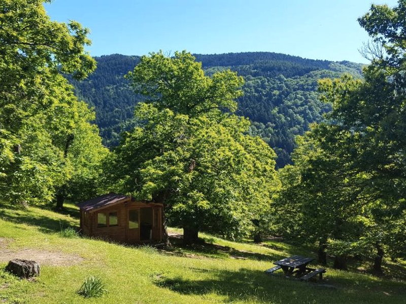 Camping Camaldoliの写真