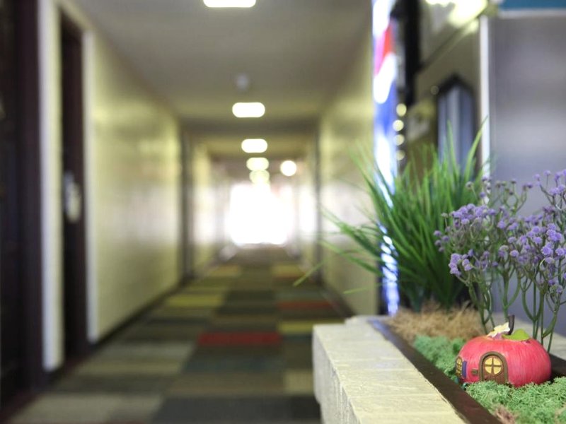 Arcadia Hotelの写真