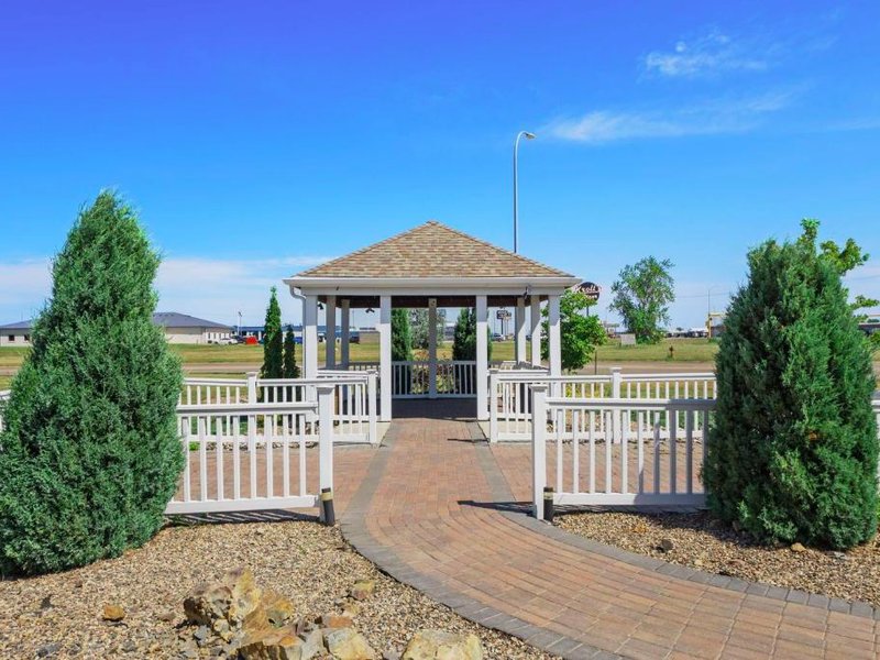 Spark by Hilton Minotの写真