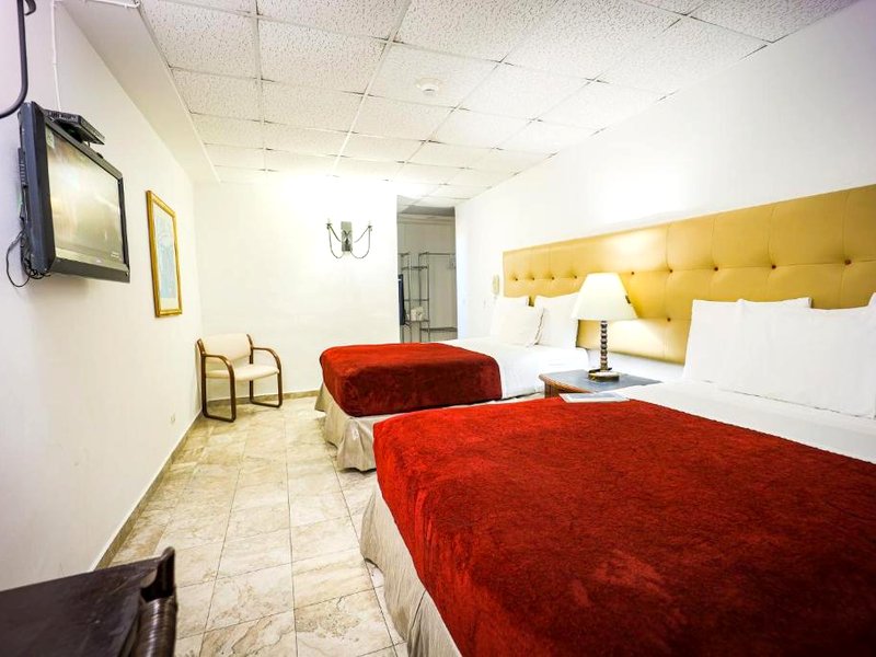 コーラル バイ ザ シー (Coral by the Sea)の写真