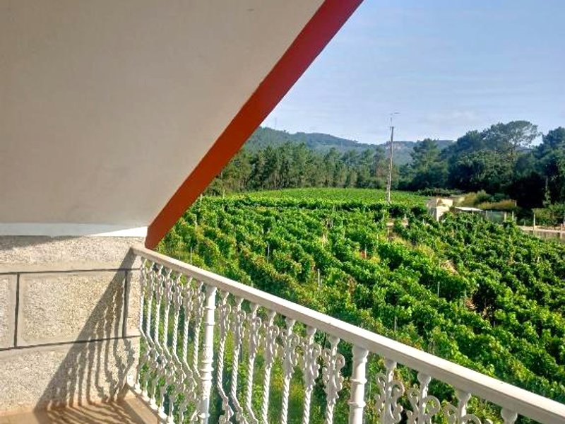 CASA DO AVÒ (CASA DO AVO)の写真