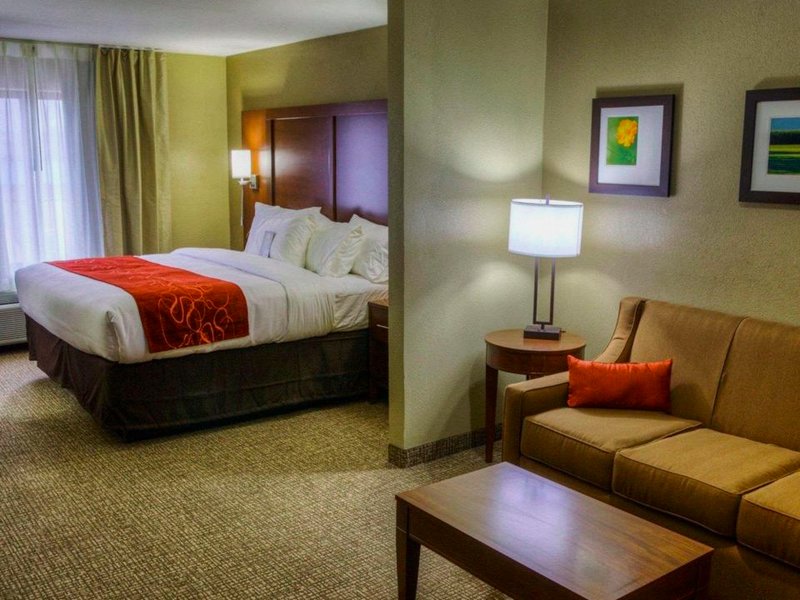 Comfort Suites Plymouth near US-30の写真