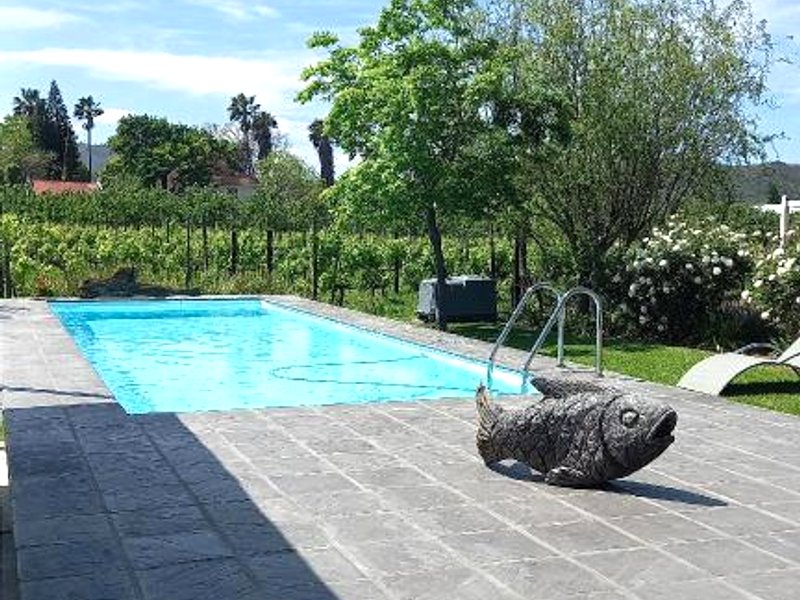 ザ ヴァインヤード カントリー ハウス (The Vineyard Country House)の写真
