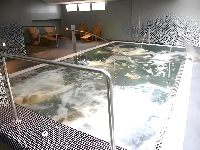 Hotel Veracruz Plaza & Spaの写真