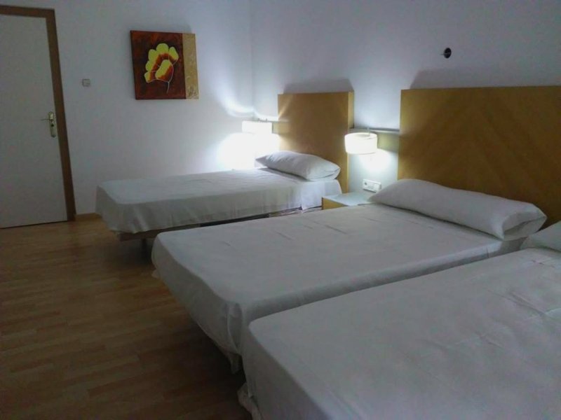 Nuevo Hotel Vista Alegreの写真