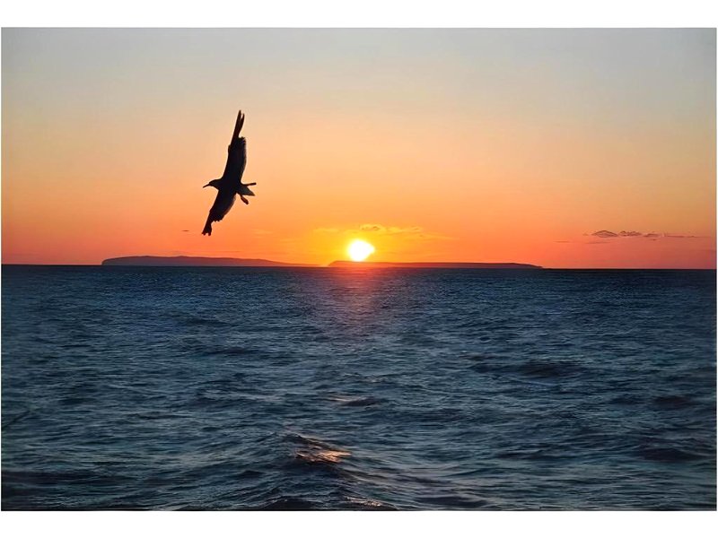 はぼろ温泉サンセットプラザ (Haboro Onsen Sunset Plaza)の写真