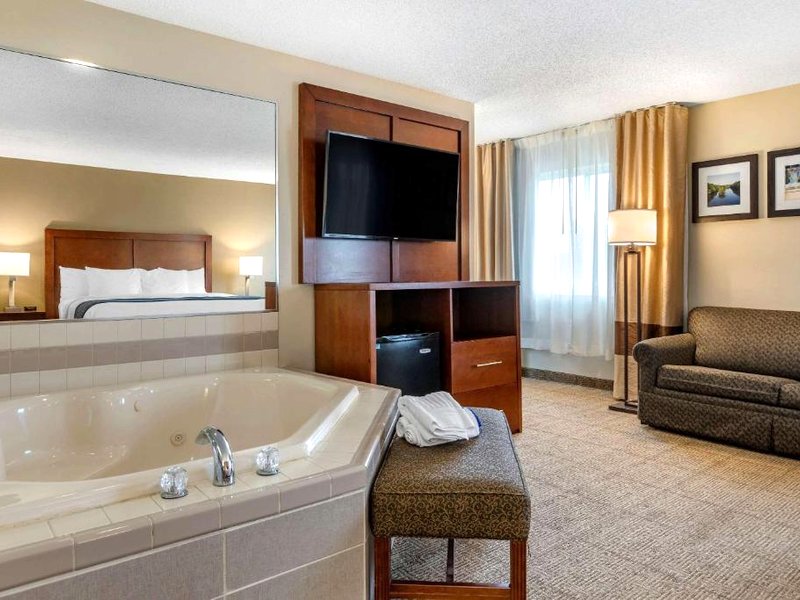 Comfort Inn & Suites Dimondale - Lansingの写真