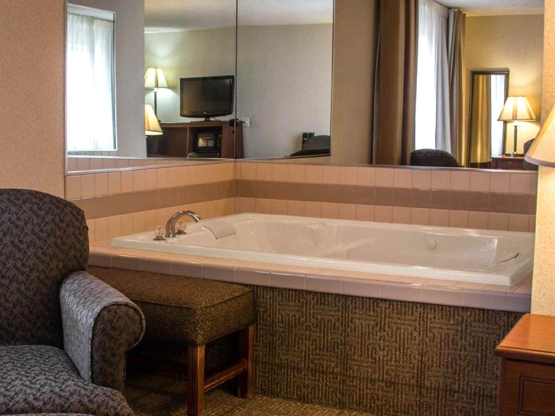 Comfort Inn & Suites Dimondale - Lansingの写真