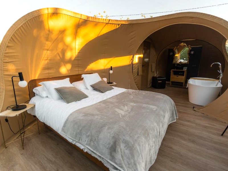 Noches de Caligの写真