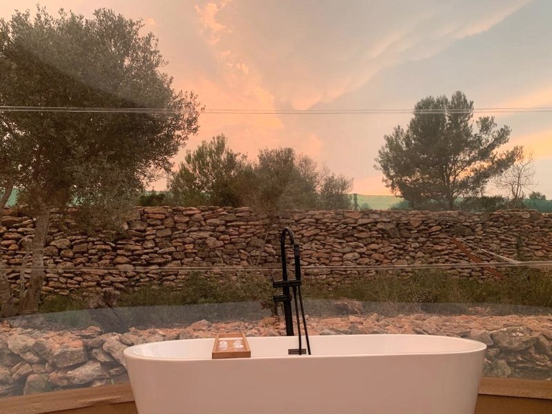 Noches de Caligの写真