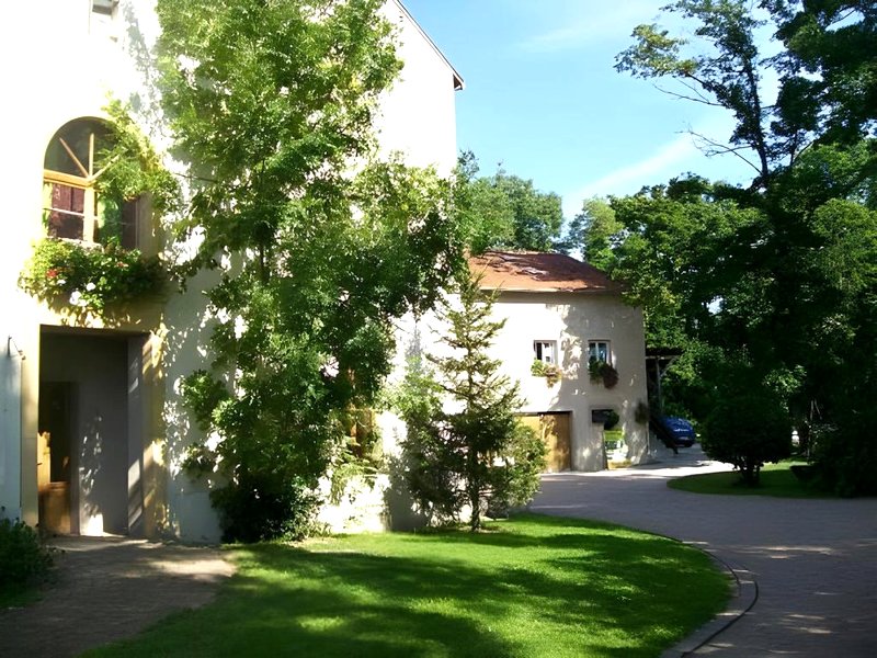 Le jardin de Norahの写真
