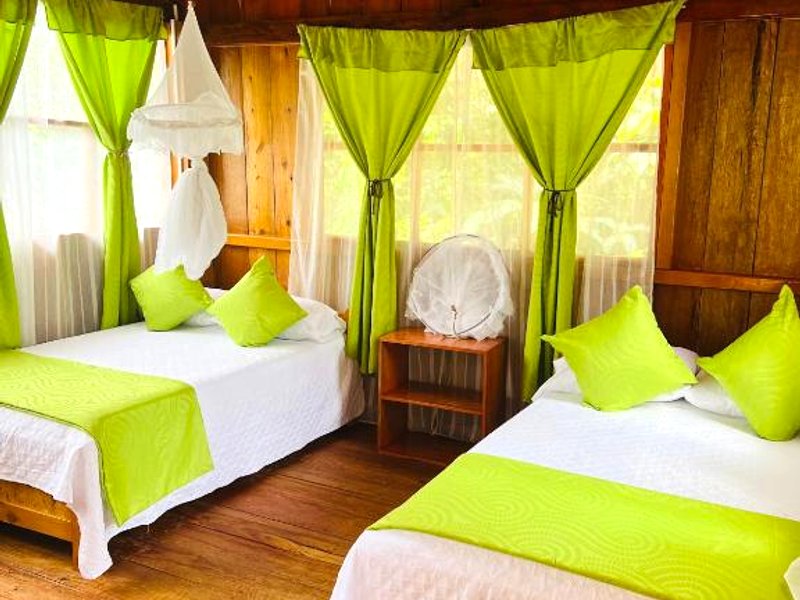 Mama Yeya raíces (Mama Yeya raices)の写真