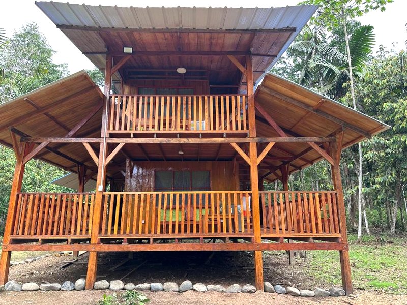 Mama Yeya raíces (Mama Yeya raices)の写真