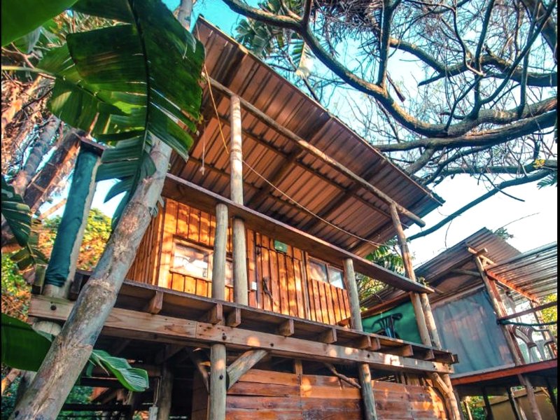 Mantis and Moon Backpackers and Surf Hostelの写真