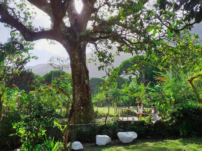 La Casita de Don Danielの写真