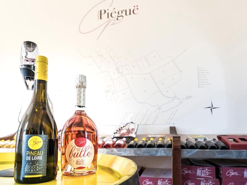 Vignoble Château Piéguë - winery (Vignoble Chateau Piegue - winery)の写真