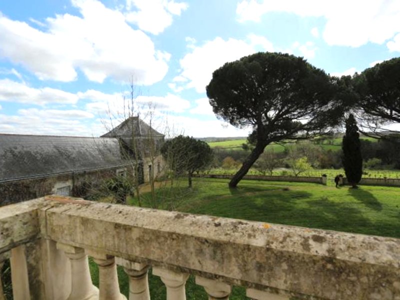 Vignoble Château Piéguë - winery (Vignoble Chateau Piegue - winery)の写真