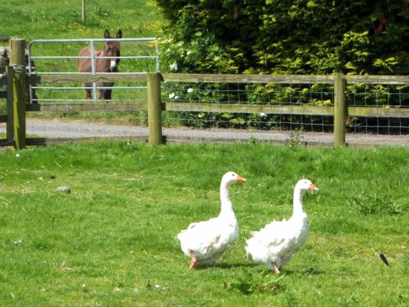 Valley Lodge Room Only Guest Houseの写真