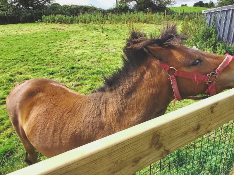 Valley Lodge Room Only Guest Houseの写真