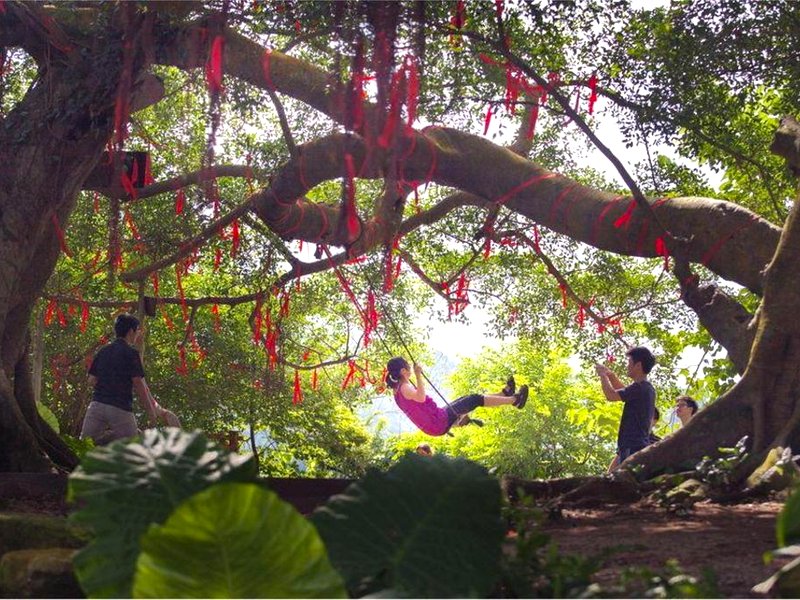 Tianlushan Wuyou Valley Hotelの写真