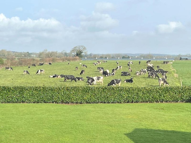 Country Hideawayの写真