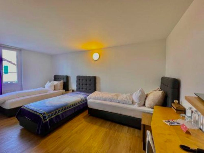 Hotel Hirschen Hinwilの写真