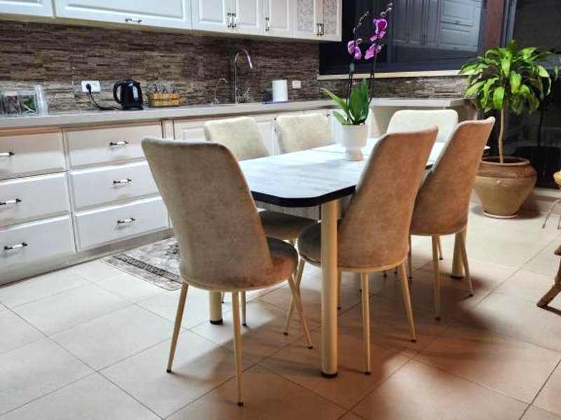 נופש בגלילの写真