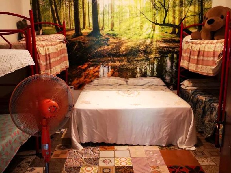 Pinnettu sardo casa di campagna in ecosistema insetti e animaletti simpatici in condivisione,Leggereの写真