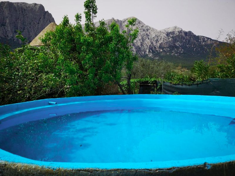 Pinnettu sardo casa di campagna in ecosistema insetti e animaletti simpatici in condivisione,Leggereの写真