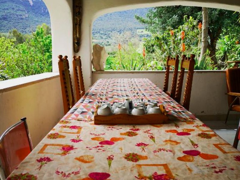 Pinnettu sardo casa di campagna in ecosistema insetti e animaletti simpatici in condivisione,Leggereの写真