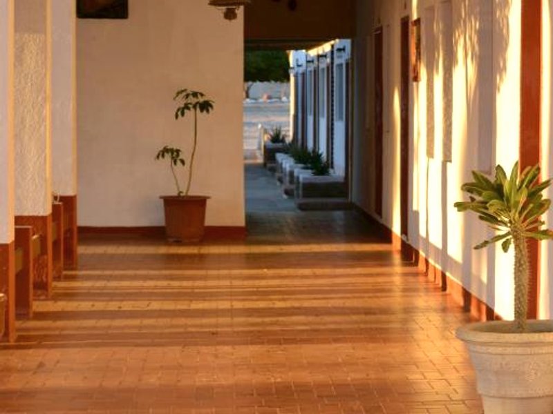 Hotel Las Palmasの写真