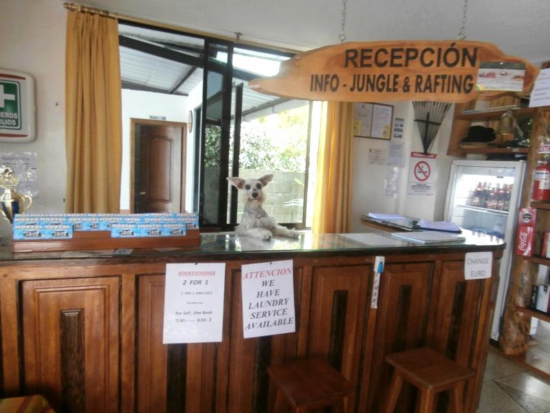 Hostal Limoncochaの写真