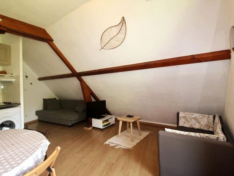 Bel appartement T2 cabineの写真