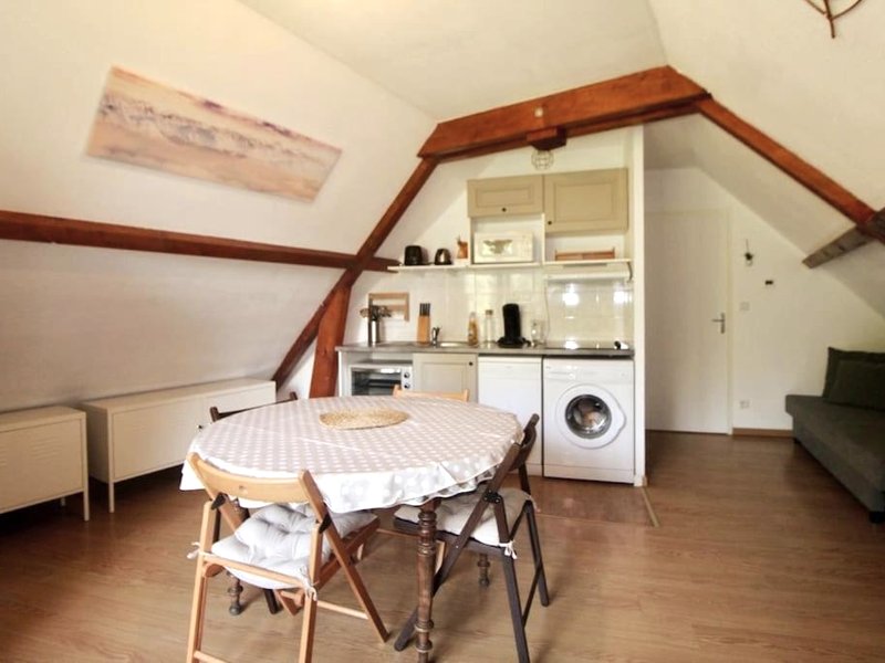 Bel appartement T2 cabineの写真