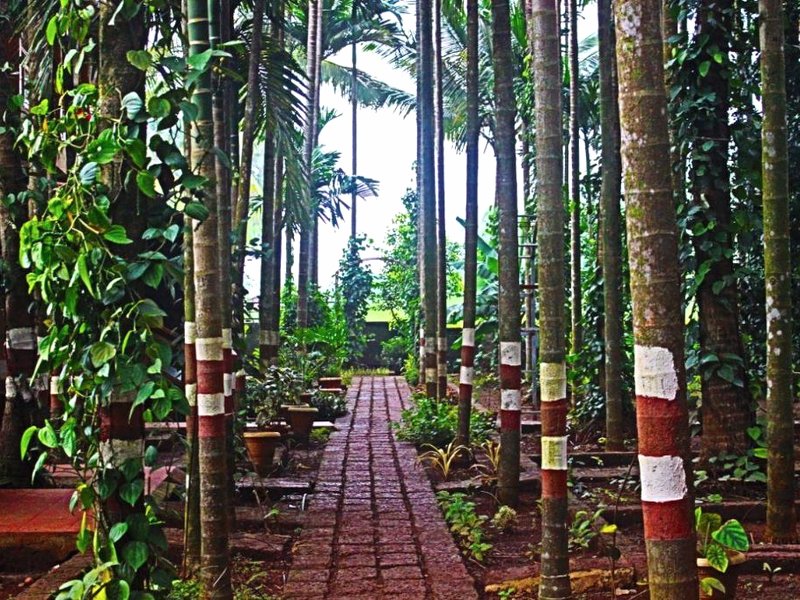 Nature Harmony Resortの写真