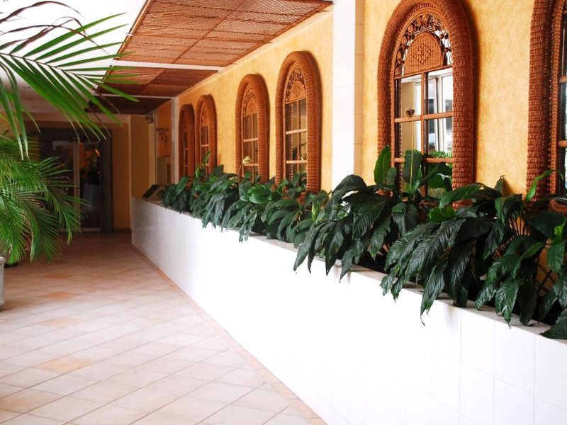 Peten Esplendidoの写真