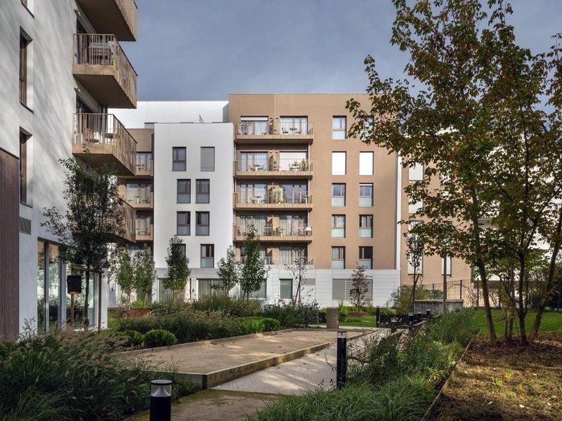 Domitys Calandraの写真