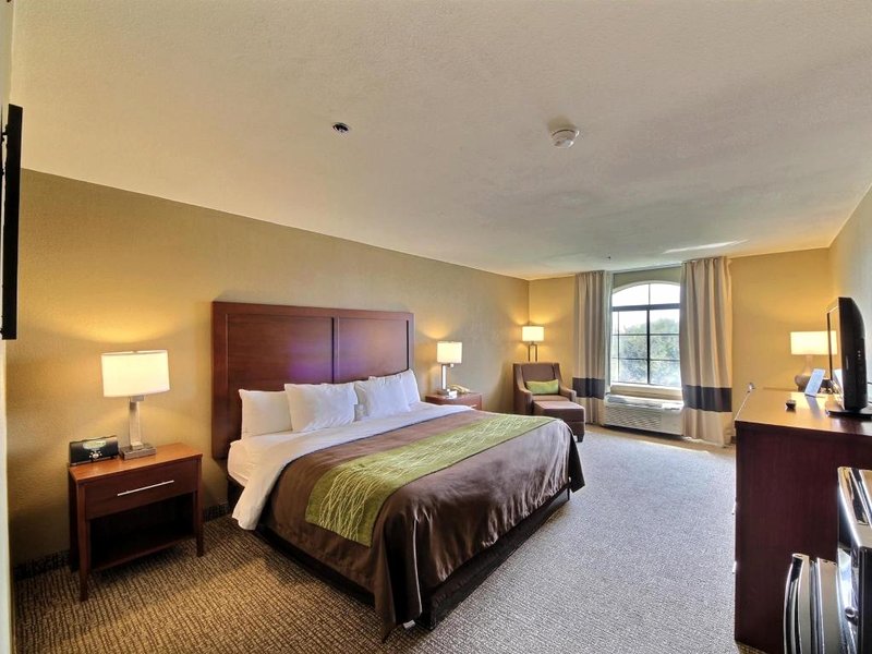 Comfort Inn Edinburg Southの写真