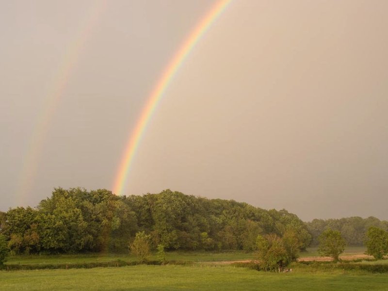 Woodview Lodgeの写真