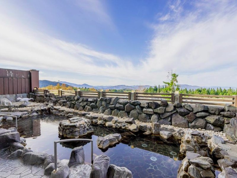 ホテル ハーヴェスト スキージャム 勝山 (Hotel Harvest Skijam Katsuyama)の写真