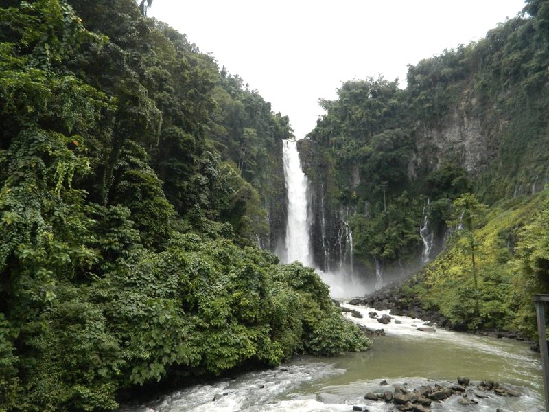 レッド C レジデンシズ (Red-C Residences)の写真