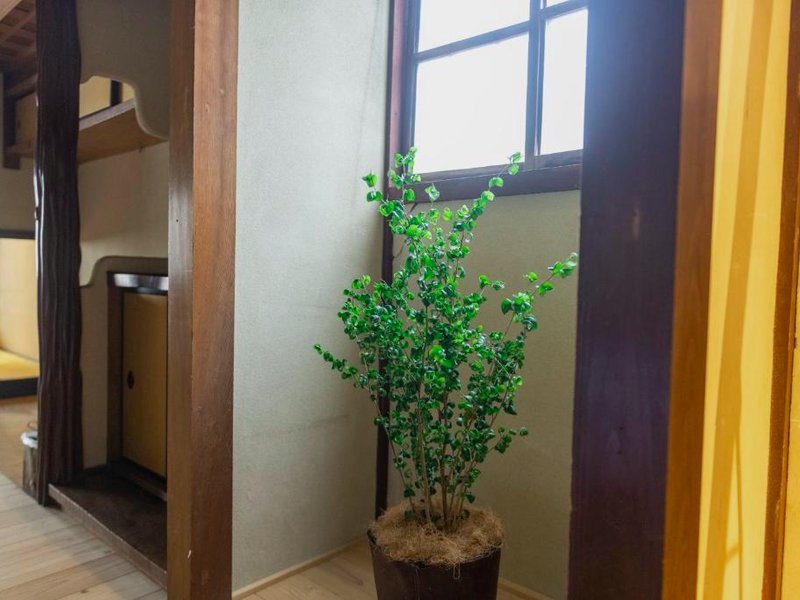 篠山城下町ゲストハウス inosica (篠山城下町ゲストハウス inosica)の写真